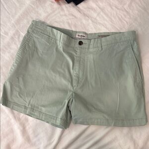 Goodfellow & Co Mint Green Chino Shorts